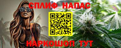 сатива Пенза
