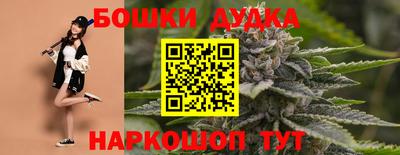 сатива Пенза
