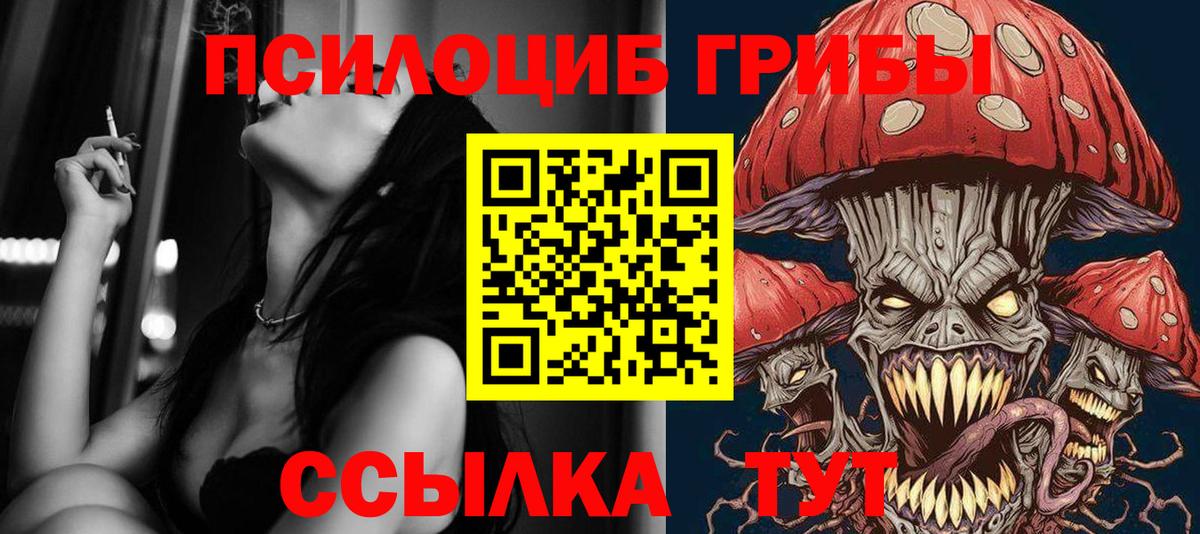 Галлюциногенные грибы мицелий Сухой Лог