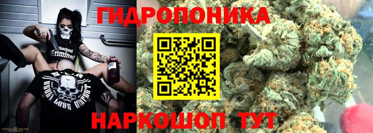 Сухой Лог  Марихуана LSD WEED  Марихуана гибрид  Вход с VPN  Бошки марихуана план 